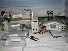 High voltage paper electrophoresis tanks